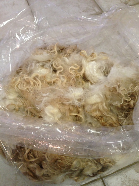 Bought for $55 at Carolina Fiber Fest on 4/5/2014