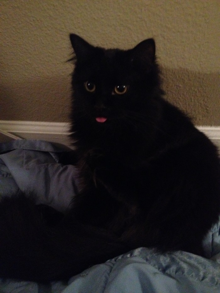 Caught in the middle of a bath. 