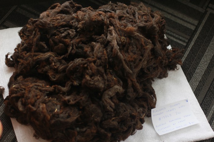 Horizon Heritage Farm