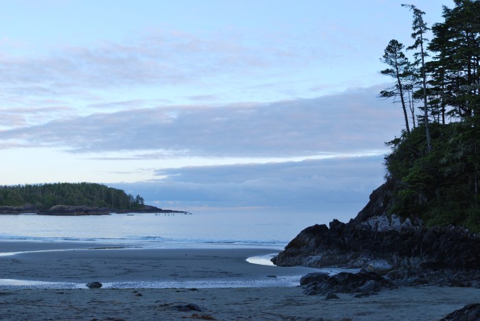 15 feet from our hotel room.