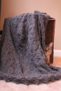 Clinton doesn't realize how dangerous this shot was. She's a toothy kitten.