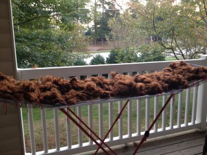 Alpaca Fiber - Lilah June